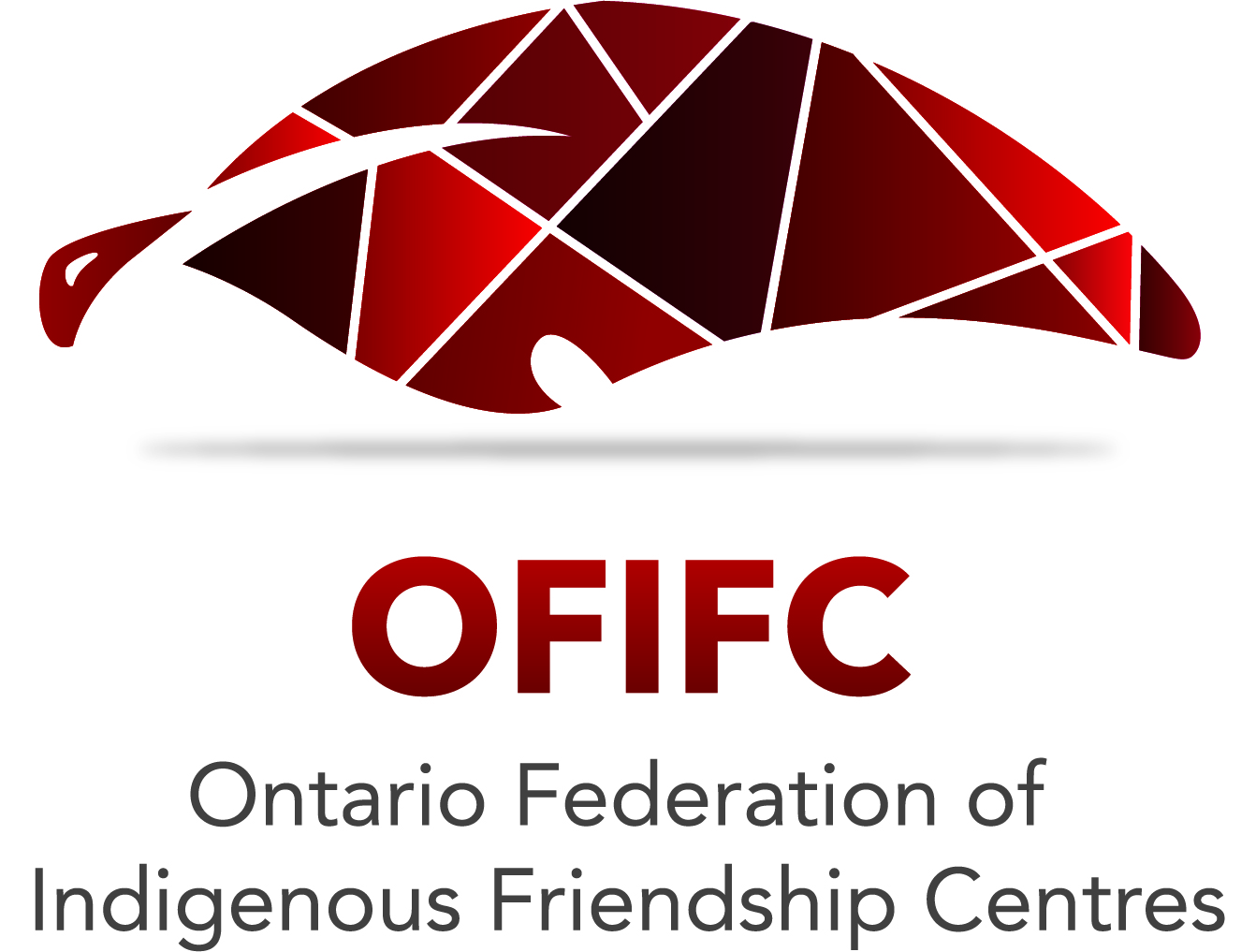 Ontario Federation of Indigenous Friendship Centres