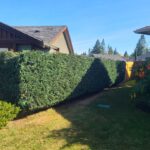 CLAY-NOR Services Inc. DBA CLAY-NOR lawn & garden