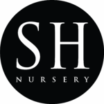 Sandhill Nursery (Rusty Rake Cafe)