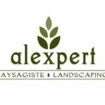Alexpert Inc.