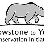 Yellowstone to Yukon Conservation Initiative (Y2Y)